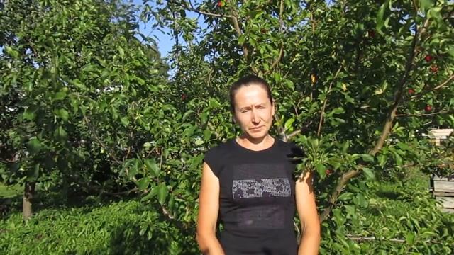 У нас Юбилей.... смотреть онлайн