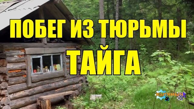 ПОБЕГ ИЗ ШОУШЕНКА НА РЕАЛЬНЫХ СОБЫТИЯХ ЗАКЛЮЧЕННЫЙ В ТАЙГЕ смотреть онлайн