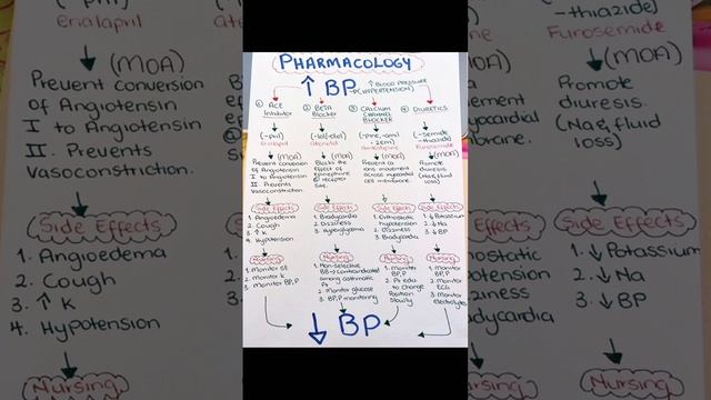 Antihypertensive drugs💊💉 #science#pharmacy #pharmacology #medicines #medicalstudent смотреть онлайн