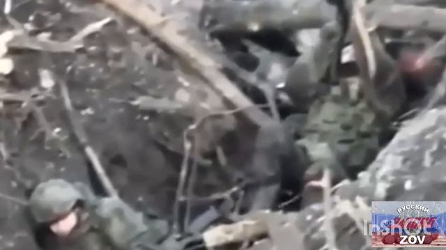 ВЕЧНАЯ ПАМЯТЬ ПАВШИМ ГЕРОЯМ смотреть онлайн