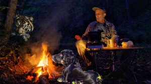 Три дня в Приморской Уссурийской Тайге. Рыбалка Заманиха. Грибы, орехи и ягоды.