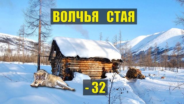 СТАРОВЕРЫ и ВОЛКИ ТАЙГА ОДИНОКИЙ ВОЛК ОТШЕЛЬНИК СУДЬБА ОХОТА ВОЛЧЬЯ СТАЯ ДОМ в ЛЕСУ ИСТОРИИ из смотреть онлайн