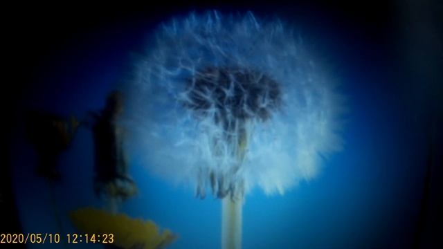 Матвеева-Шапокляк - куда метнётесь? смотреть онлайн