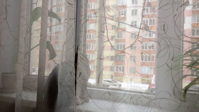 Охота на птиц смотреть онлайн