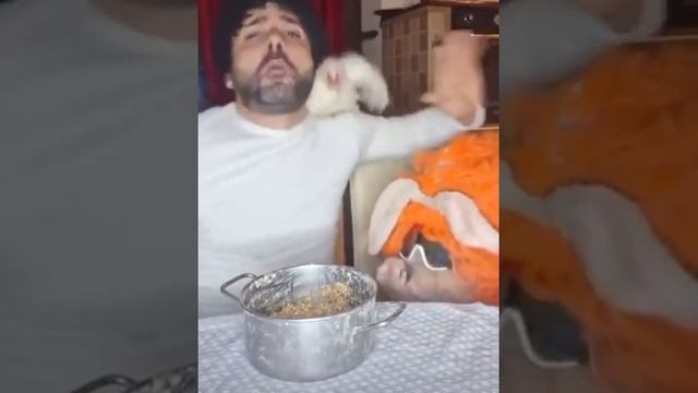 #shorts#, смех, ржач, юмор, настроение, приколы.mp4 смотреть онлайн