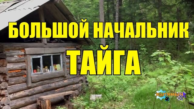 СТАРЫЙ ОХОТНИК И БОЛЬШАЯ ШИШКА В ТАЙГЕ смотреть онлайн