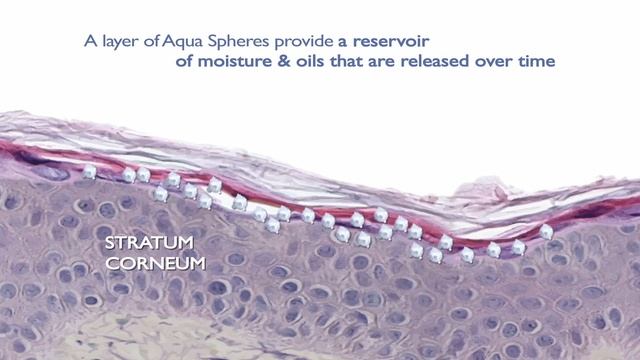 Discover Vitamin E Aqua Boost Sorbet смотреть онлайн