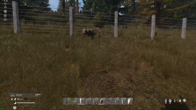 гЛАВА ПУКИНЦЕВ ПРОИГРЫВАЕТ СОБАКЕ смотреть онлайн