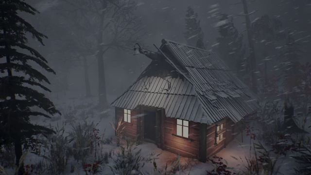 САМЫЙ ХОЛОДНЫЙ ДОМ в мире (-71°C) ЯКУТСК / СИБИРЬ. Звуки снежной бури убаюкивают смотреть онлайн