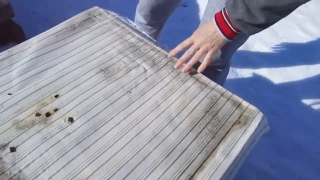 Беглый осмотр зимовавших на улице. смотреть онлайн