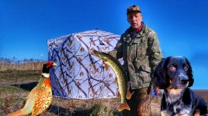 Осенняя Охота и Рыбалка на озере Ханка. Охота с собакой Русский спаниель. Охотничьи приключения.
