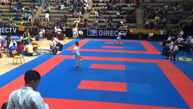 Willkens Gutierrez - Chatan Yara Kusanku (5) vs (0) Juan Hernandez - Suparimpei смотреть онлайн