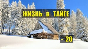 РАССКАЗЫ ЛЕСНИКА ВСТРЕЧА с МЕДВЕДЕМ СЛУЧАЙ в ЛЕСУ ВЫЖИВАНИЕ СУДЬБА ИСТОРИИ из ЖИЗНИ СЕРИАЛ