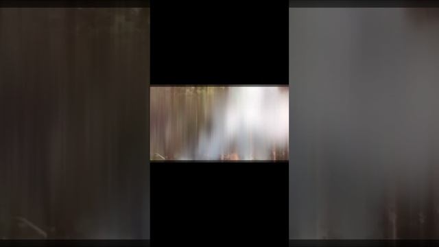 ⚡️СВО 18+ Кадр сброса бойцами ВС РФ смотреть онлайн