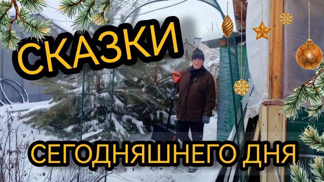 Купили нужный ваттметр и скрепер для уборки снега. 30.12.2024 смотреть онлайн