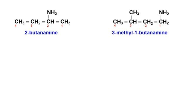 11.2 Nomenclature of Amines смотреть онлайн