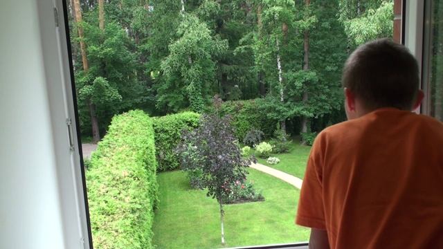 Летний этюд курсовая