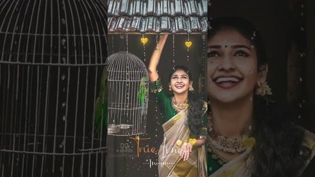 Bhojpuri Status Bhojpuri WhatsApp Status Video Bhojpuri Ringtone Bhojpuri Shayari Status смотреть онлайн