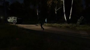 Иностранка Ночь в ЧЗО Dayz RP stream ☀️ SUNSHINE ☀️