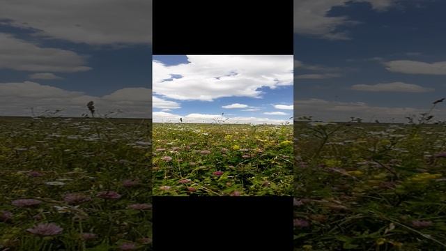 весна смотреть онлайн