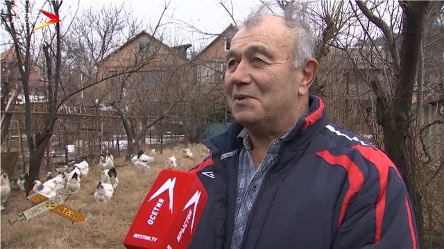 Стыр зæххы хæйттыл нæ кусын фæнды? # Кæстæр-хистæр смотреть онлайн