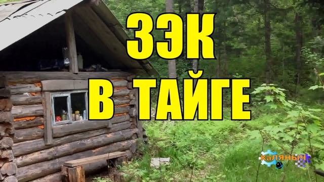 ЗАКЛЮЧЁННЫЙ В ТАЙГЕ смотреть онлайн