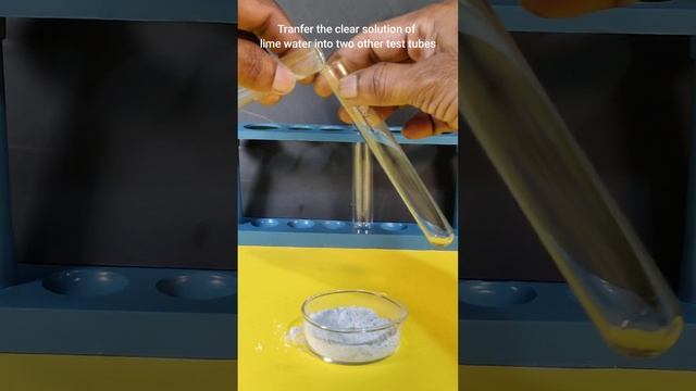 Let us prove that Exhaling Air from Lungs is Carbondioxide #science #shortvideos смотреть онлайн