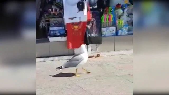 Тельняшка смотреть онлайн