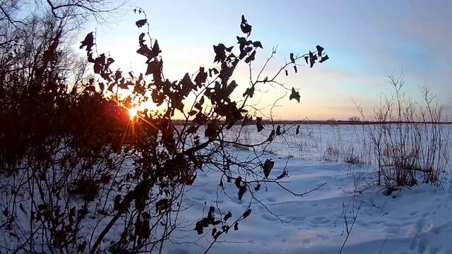 На краю леса смотреть онлайн