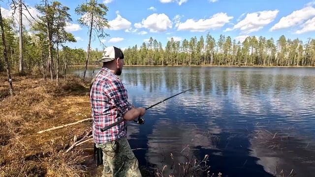 РЫБАЛКА НА УДОЧКУ КАК В ДЕТСТВЕ. ПОХОД НА ЛЕСНОЕ ОЗЕРО НА РЫБАЛКУ. БОЙКИЕ ОКУНИ ТОПЯТ ПОПЛАВОК. смотреть онлайн