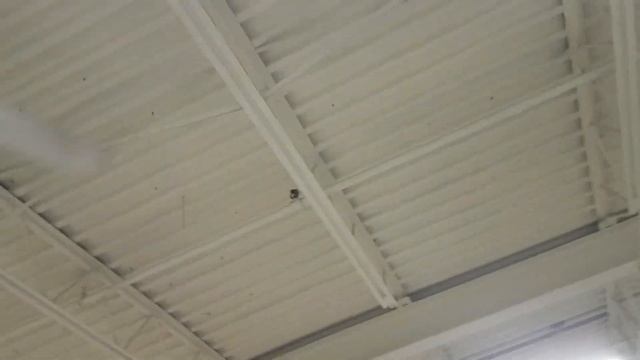 Canarm, TAT, Airmaster, Banvil Industrial Ceiling Fans in a thrift store смотреть онлайн