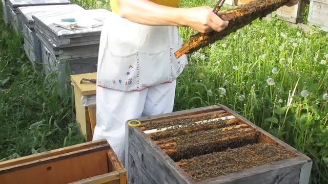 Как сделать отводок смотреть онлайн