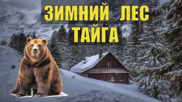 0288 ОДИН в ТАЙГЕ в ЛЕСУ ПРИРОДА ЛЕСНАЯ ИЗБА ПРОМЫСЕЛ СЛУЧАЙ ОТШЕЛЬНИК смотреть онлайн