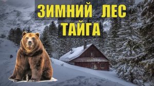 0288 ОДИН в ТАЙГЕ в ЛЕСУ ПРИРОДА ЛЕСНАЯ ИЗБА ПРОМЫСЕЛ СЛУЧАЙ   ОТШЕЛЬНИК