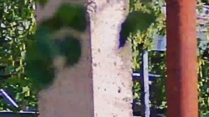 псп пистолет Корсар компакт калибр 5.5 : Быстрый тест отстрел .