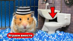 Новые Ловушки в тюремном лабиринте для умного Хомяка 🐹 Видео для детей