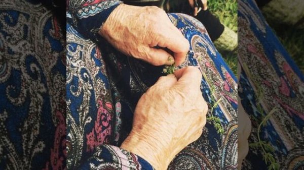 Кыр Казларе. Татарская песня