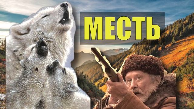 ВОЛК ОТОМСТИЛ = КРОВЬ ЗА КРОВЬ ГЛАЗ за ГЛАЗ ВОЛЧЬЯ ВЕРНОСТЬ ПРЕДАННОСТЬ СТАЯ СЛУЧАЙ в ТАЙГЕ ОДИНОКИЙ смотреть онлайн