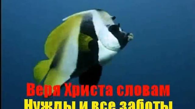 №162 В руках Христа могучих смотреть онлайн