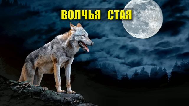 ПОСЛЕДНИЙ ВЫЖИВШИЙ из ВОЛКОВ ВОЛЧЬЯ СТАЯ ОХОТА НА ВОЛКА С ФЛАЖКАМИ в ТАЙГ смотреть онлайн