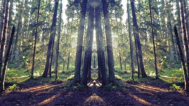 Dabbler's Task - Rabbit Loop