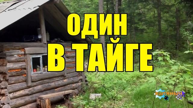 ОДИН В ТАЙГЕ _ ОДИНОЧЕСТВО В ЛЕСУ _ ОХОТА НА СОБОЛЯ _ ПРИЁМ ПУШНИНЫ _ ЖИЗНЬ ПРОЖИТА смотреть онлайн