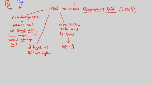 DNA Technology - Restriction Enzymes (Part 2) | BIALIGY.com смотреть онлайн
