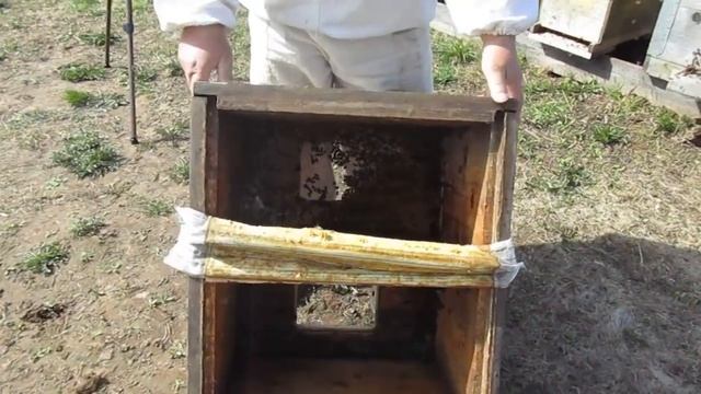 Зимовка отводков на сетчатом дне смотреть онлайн