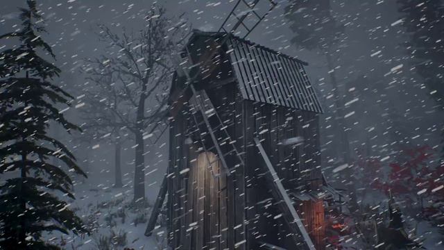 СНЕЖНАЯ буря в хижине в Лапландии. Снежная буря для сна и завывания ветра. Зимние звуки для сна смотреть онлайн