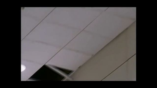 Watch Stores Shake as Strong Quake Rocks Taiwan смотреть онлайн