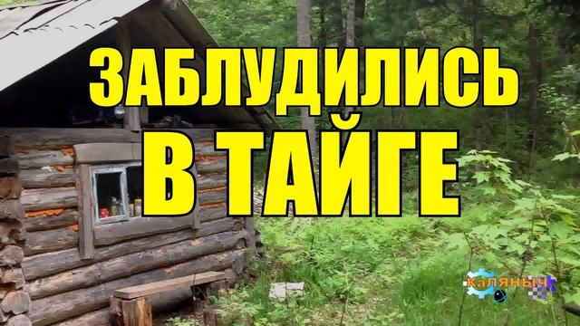 ЗАКЛЮЧЕННЫЙ _ ПОБЕГ ИЗ ТЮРЬМЫ _ НАХОДКА ЖИЗНЬ В ТАЙГЕ смотреть онлайн