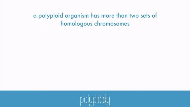 Gene Flow and Speciation смотреть онлайн