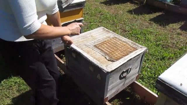 Про клеща и методы борьбы с ним (25.09.2021) смотреть онлайн