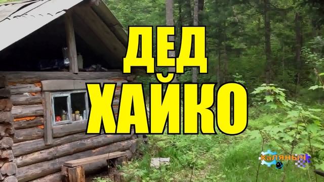 0924 - ДЕД ХАЙКО _ ЖИЗНЬ В ТАЙГЕ как выдавали замуж на Руси смотреть онлайн
